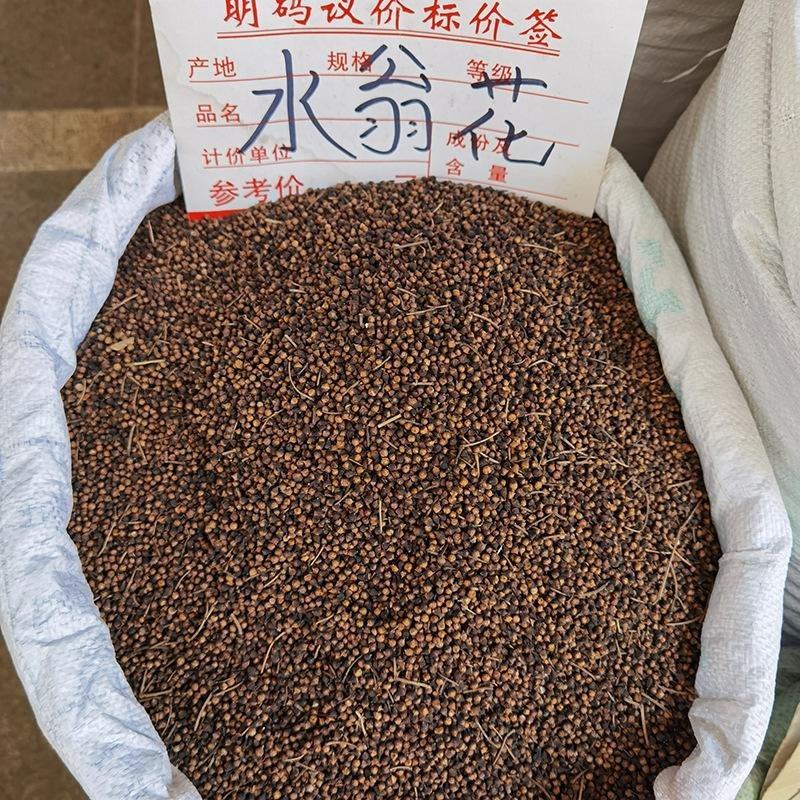 水翁花水翁子常年经营各种冷背药材批发零售一件代发