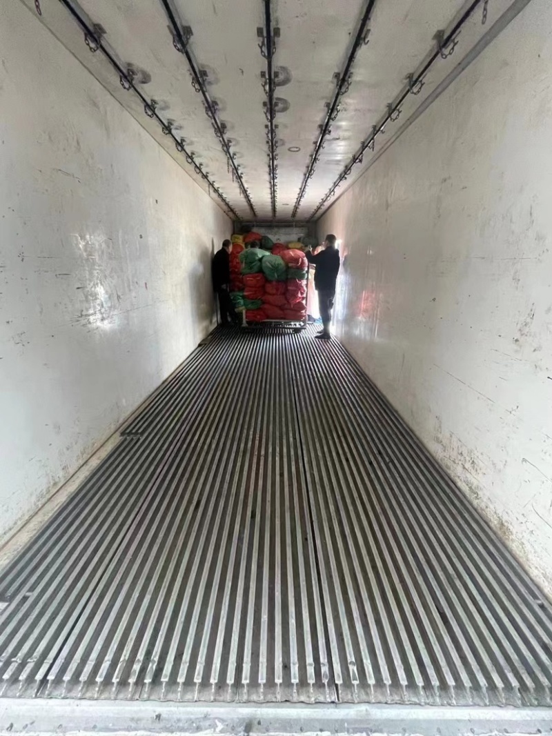 精品菠菜货量充足产地直发量大从优欢迎老板采购