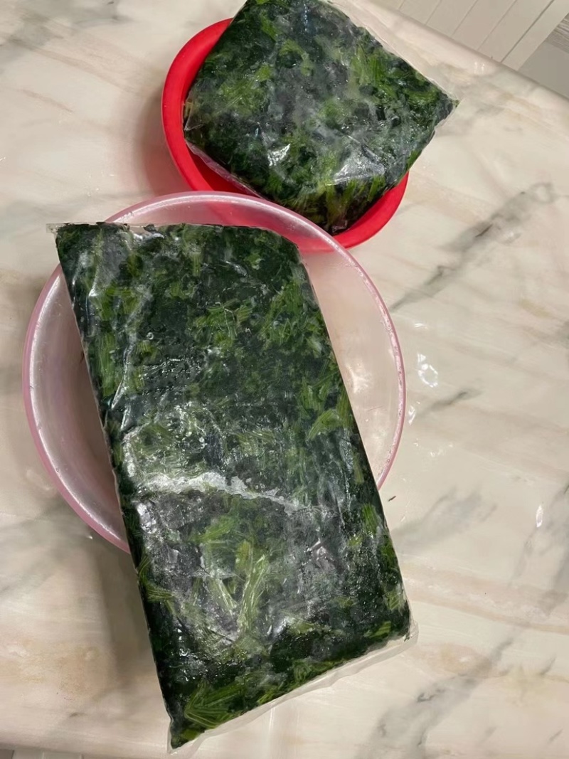 精品菠菜货量充足产地直发量大从优欢迎老板采购