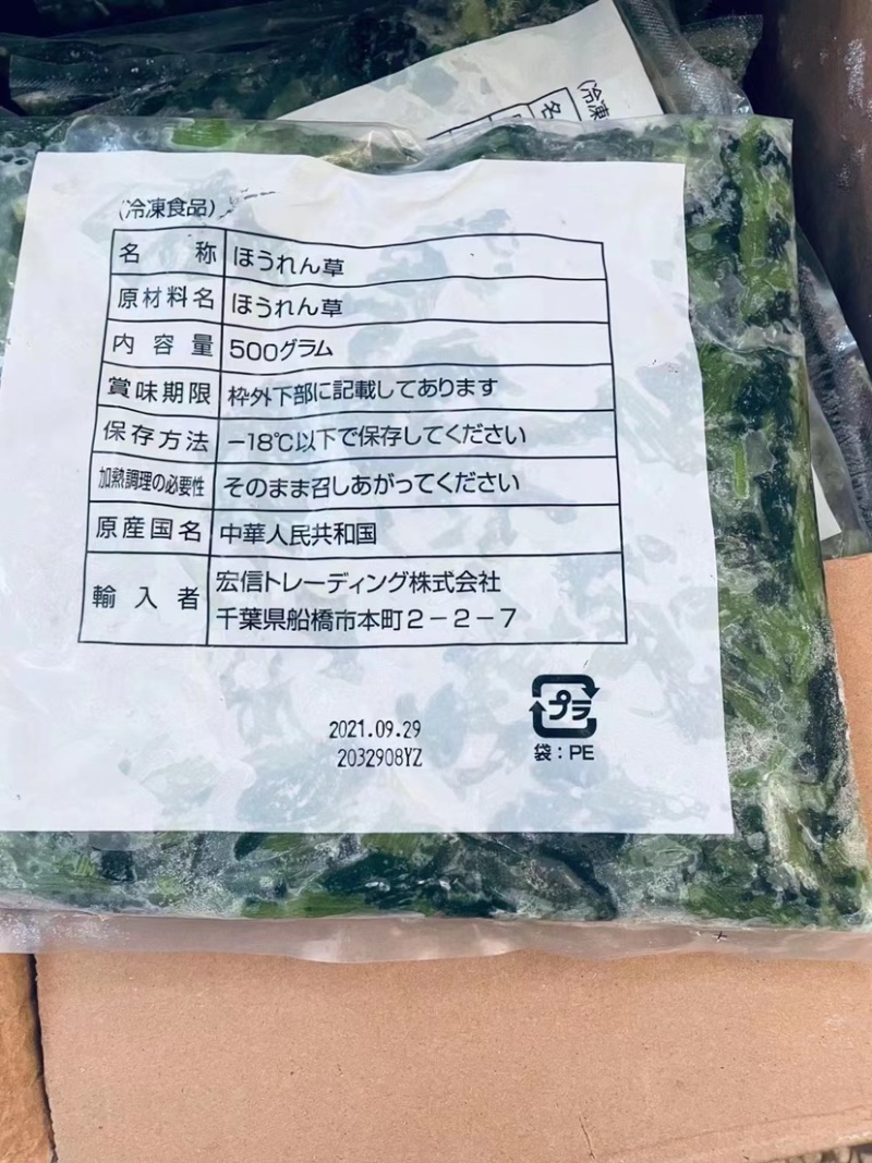 精品菠菜货量充足产地直发量大从优欢迎老板采购