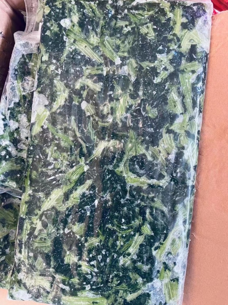 精品菠菜货量充足产地直发量大从优欢迎老板采购