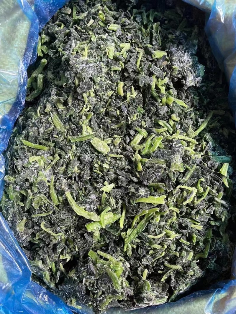 精品菠菜货量充足产地直发量大从优欢迎老板采购