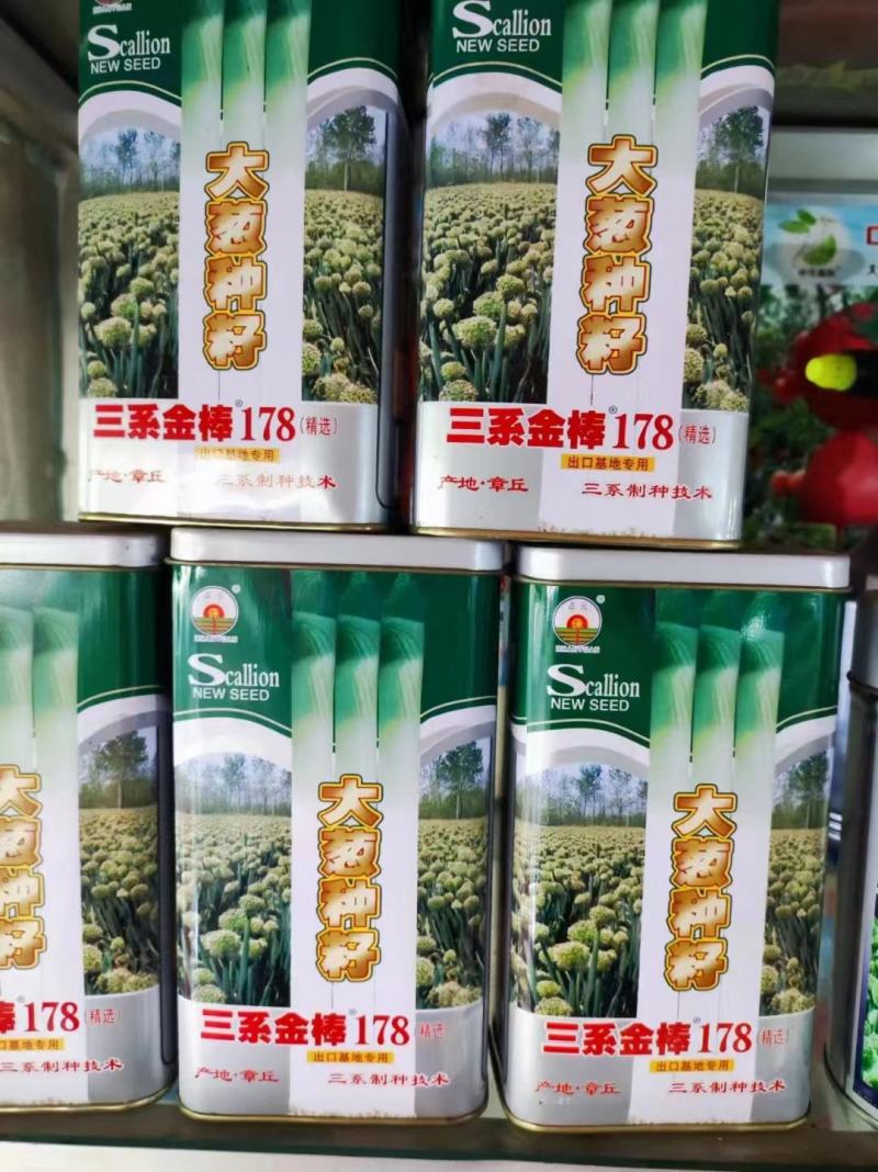 【优质】英邦2号金棒铁杆耐寒越冬大葱种子750g