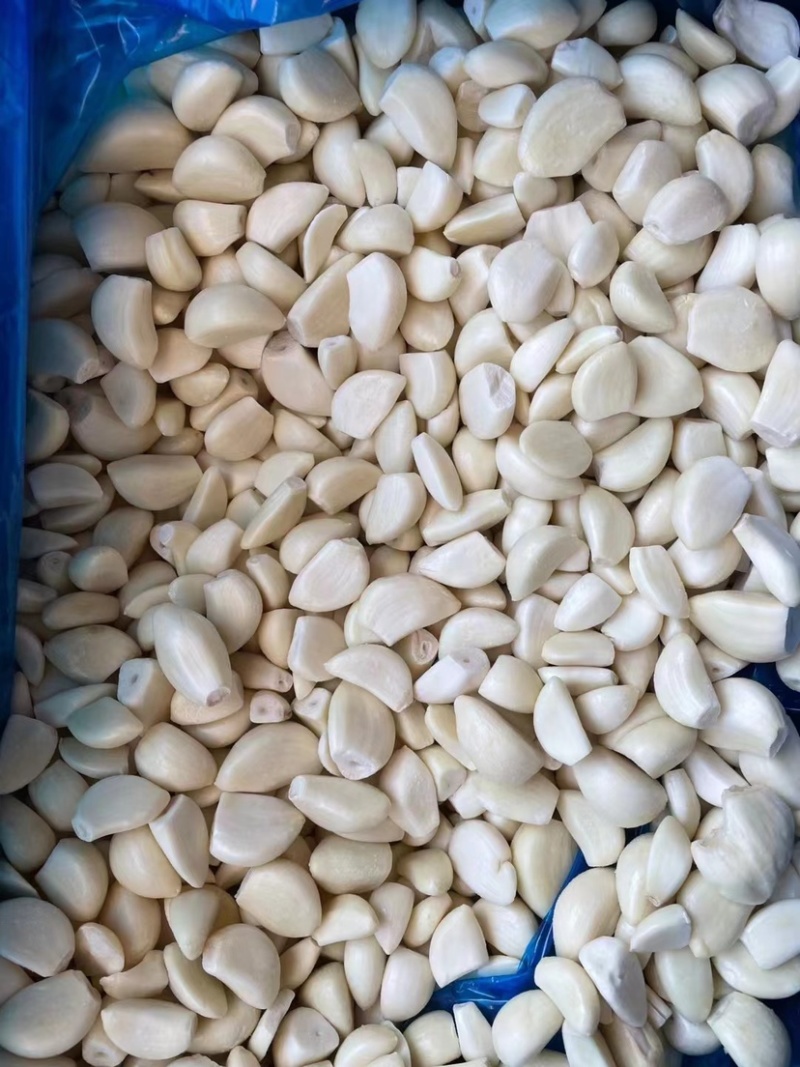新鲜蒜块品质优秀质量保证量大从优欢迎采购商对接