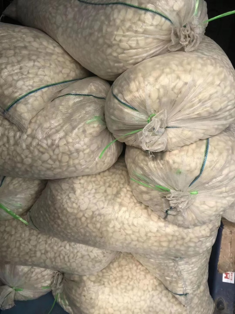 新鲜蒜块品质优秀质量保证量大从优欢迎采购商对接