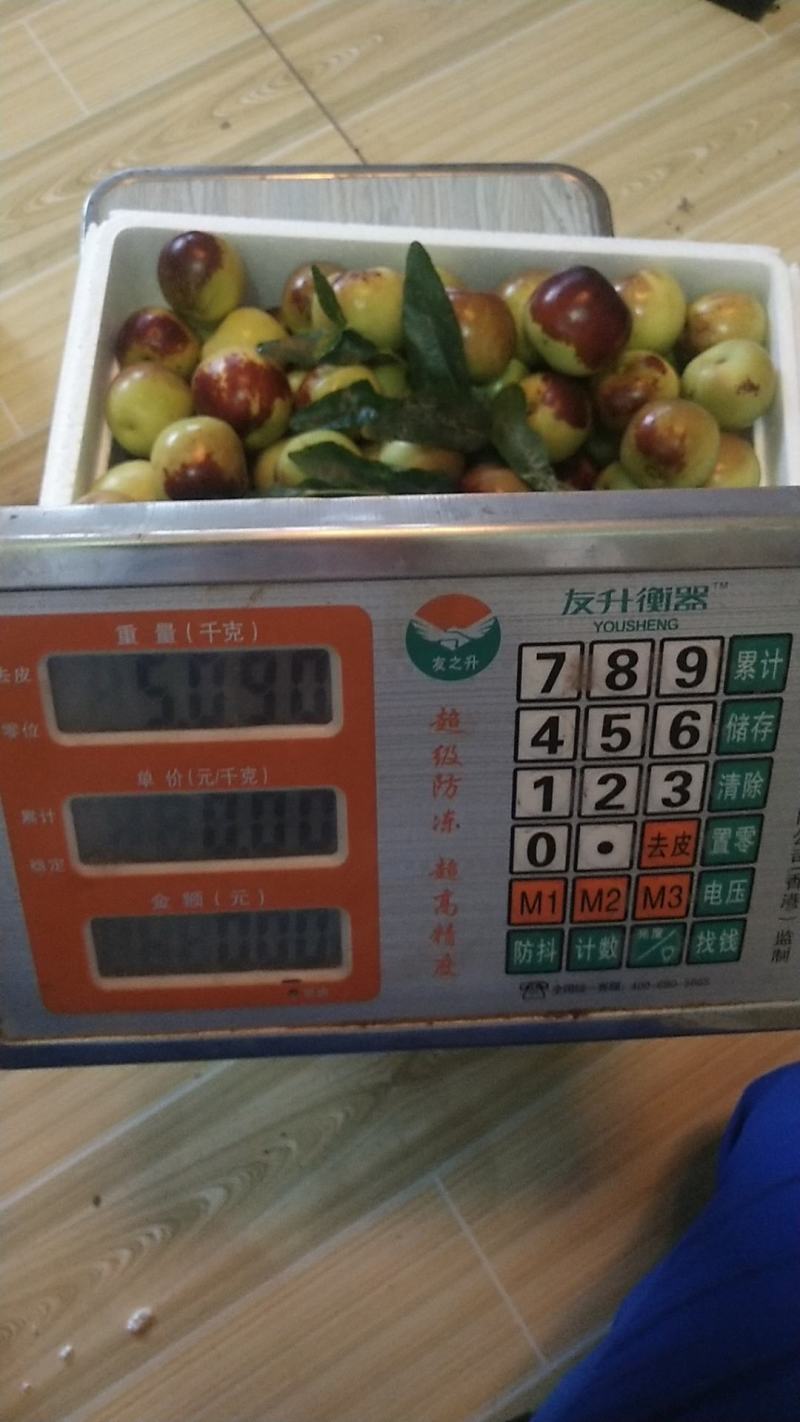 自家种大棚冬枣现已上市，抢购中……
