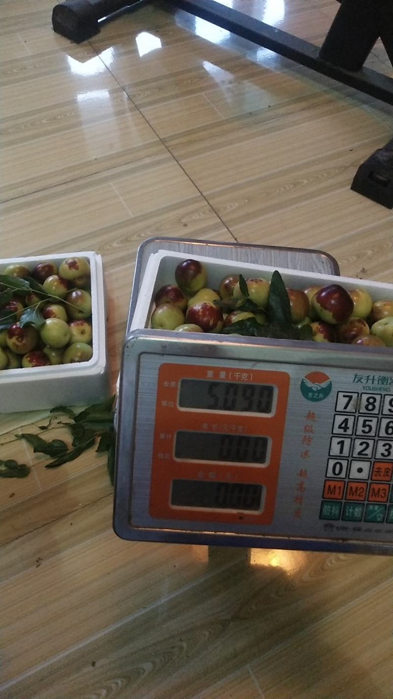 自家种大棚冬枣现已上市，抢购中……