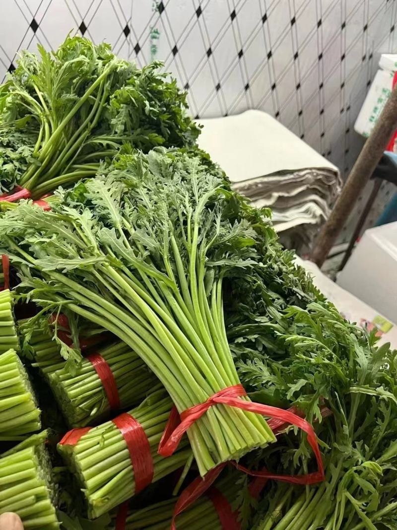 【精品】香芹万亩基地直发全国发货大量有货可视频看货