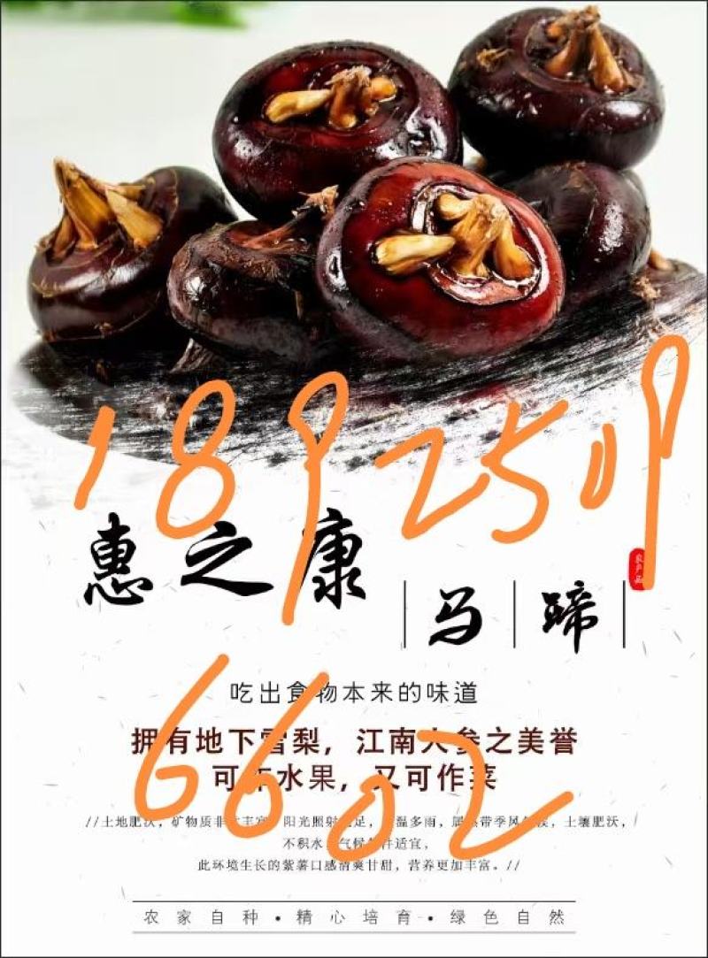 荸荠（水装马蹄）人工削皮