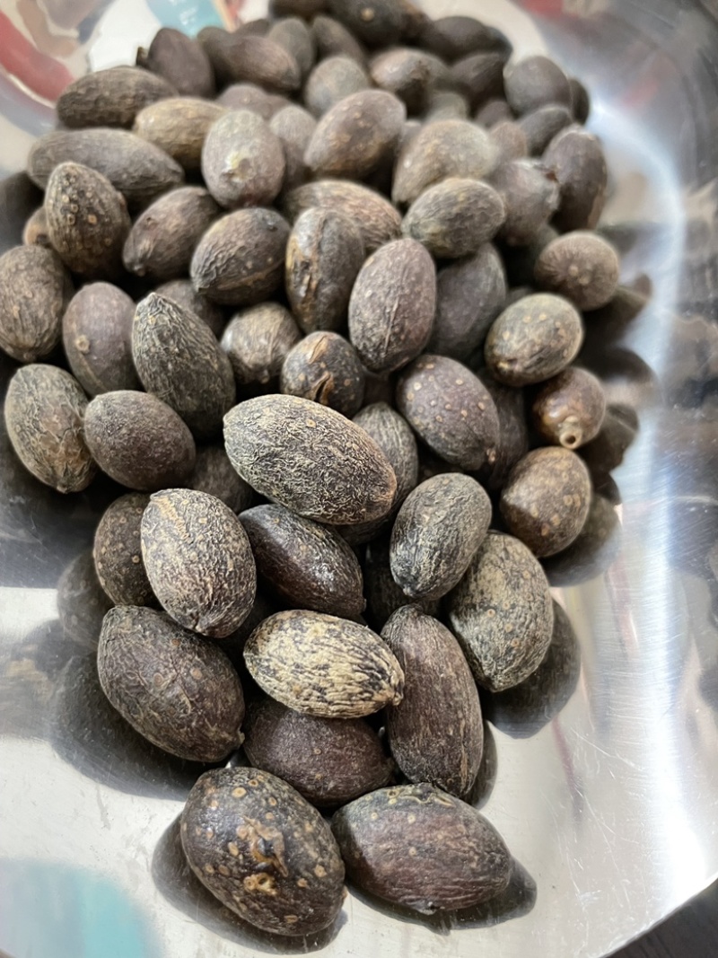 葵树子批发零售中药材一斤起发量大从优一件代发