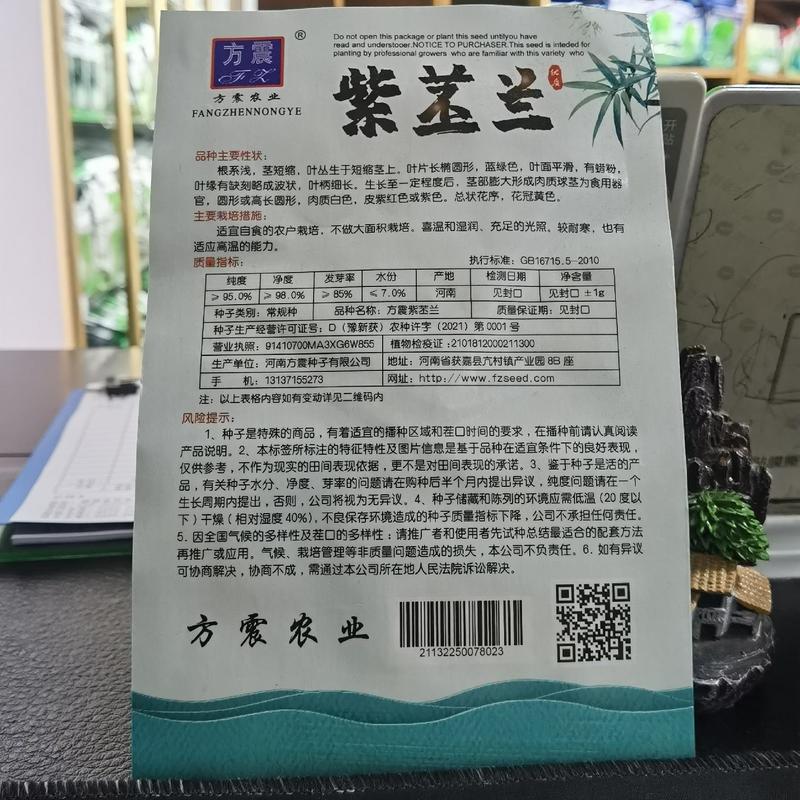 紫苤兰球茎苤菜天津青苤蓝大头菜薄皮生吃脆嫩芥萝卜种子