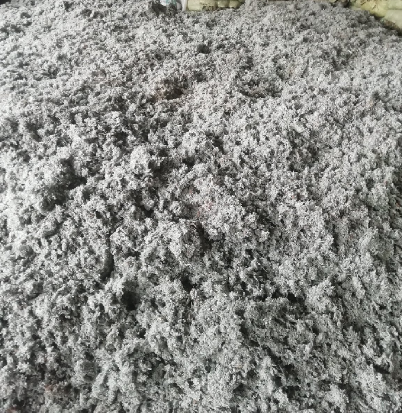 茵陈
