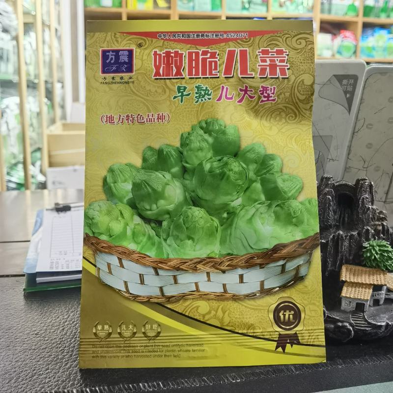儿菜种子四川特产四季播娃娃菜抱子芥菜种子秋季蔬菜种子早熟
