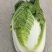 河北永年区大白菜大量上市质量保证个头均匀视频看货