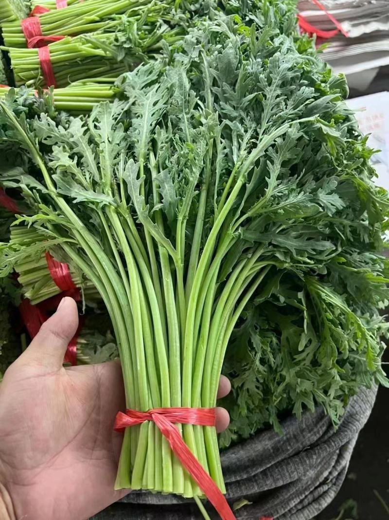 【精品】香芹万亩基地直发全国发货大量有货可视频看货