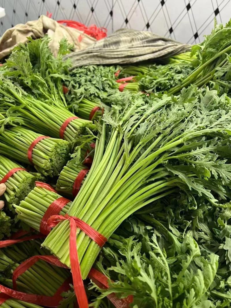 【精品】香芹万亩基地直发全国发货大量有货可视频看货