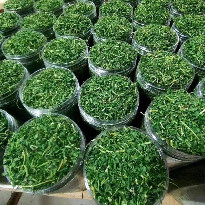 野生护肝茶，甘甘甜甜好味道