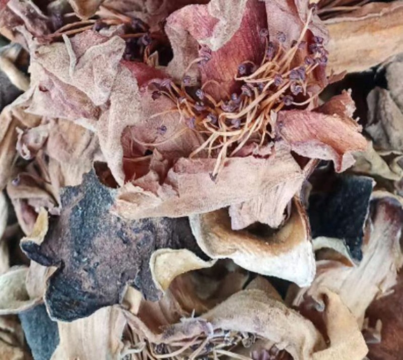 木棉花产地货源充足品质好保质保量欢迎咨询选购