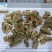 鬼箭羽大片手掰货统货过电筛新鲜枝条各种规格产地大量批发
