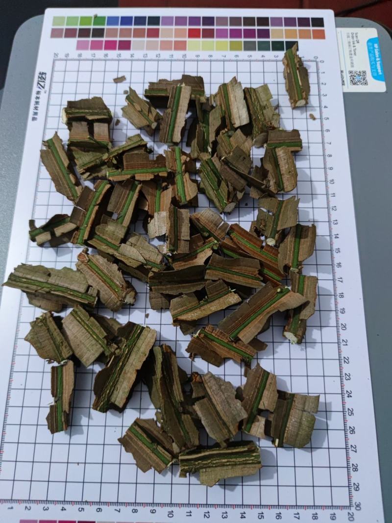 鬼箭羽大片手掰货统货过电筛新鲜枝条各种规格产地大量批发