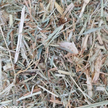 稻草过筛除尘小包撕碎水份安全无土无霉变