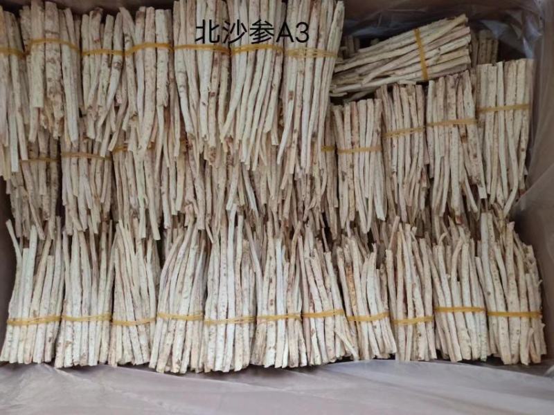 北沙参