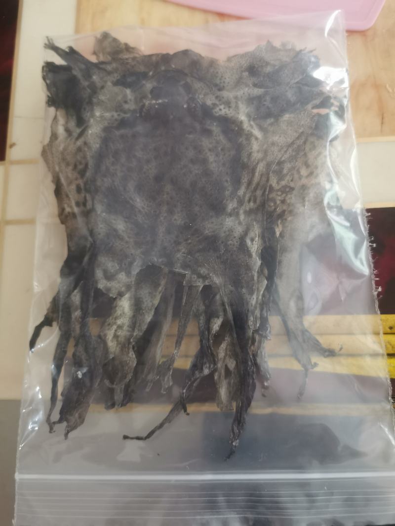蟾蜍皮蟾皮癞蛤蟆皮