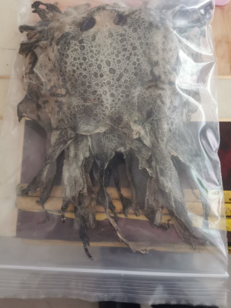 蟾蜍皮蟾皮癞蛤蟆皮