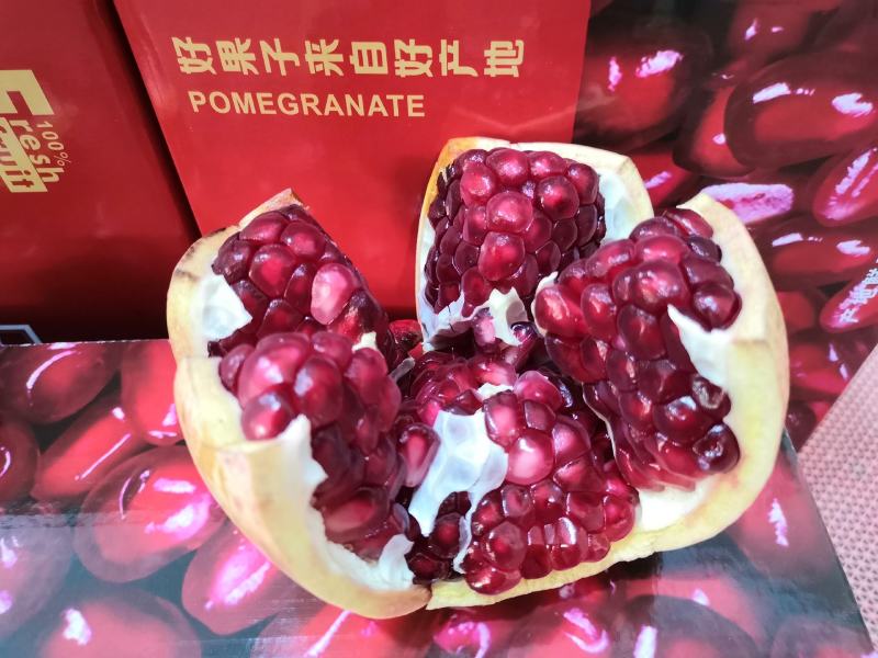 河阴石榴突尼斯软籽石榴非玛丽斯慕乐软籽石榴天荭石榴