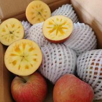 新疆阿克苏红旗坡冰糖心红富士苹果大量上市了！