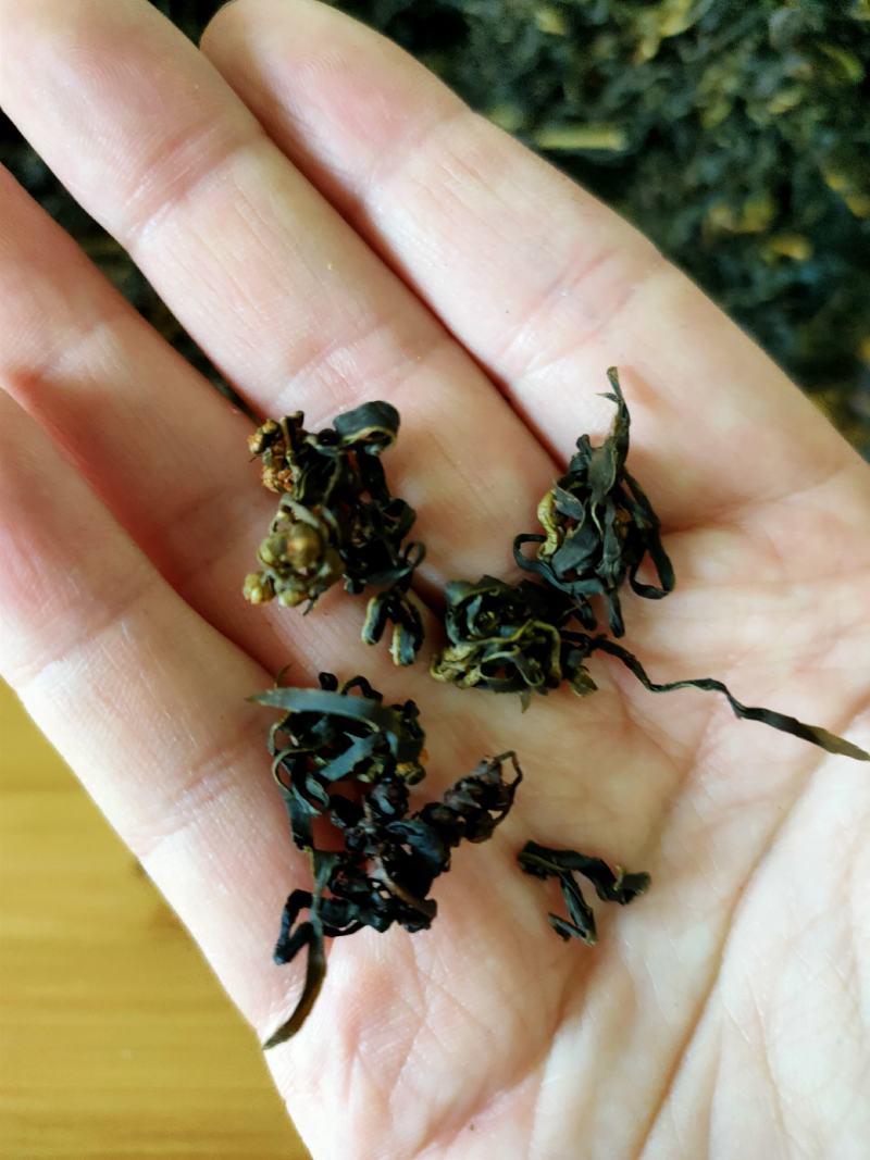 赶黄草茶赶黄草杆泡茶酒后饮用大量供应一件代发