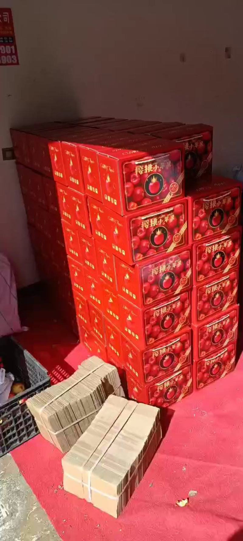 樱桃红露小苹果云南昭通冰糖心丑苹果纯甜无酸