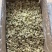 菊花，茶叶，批发