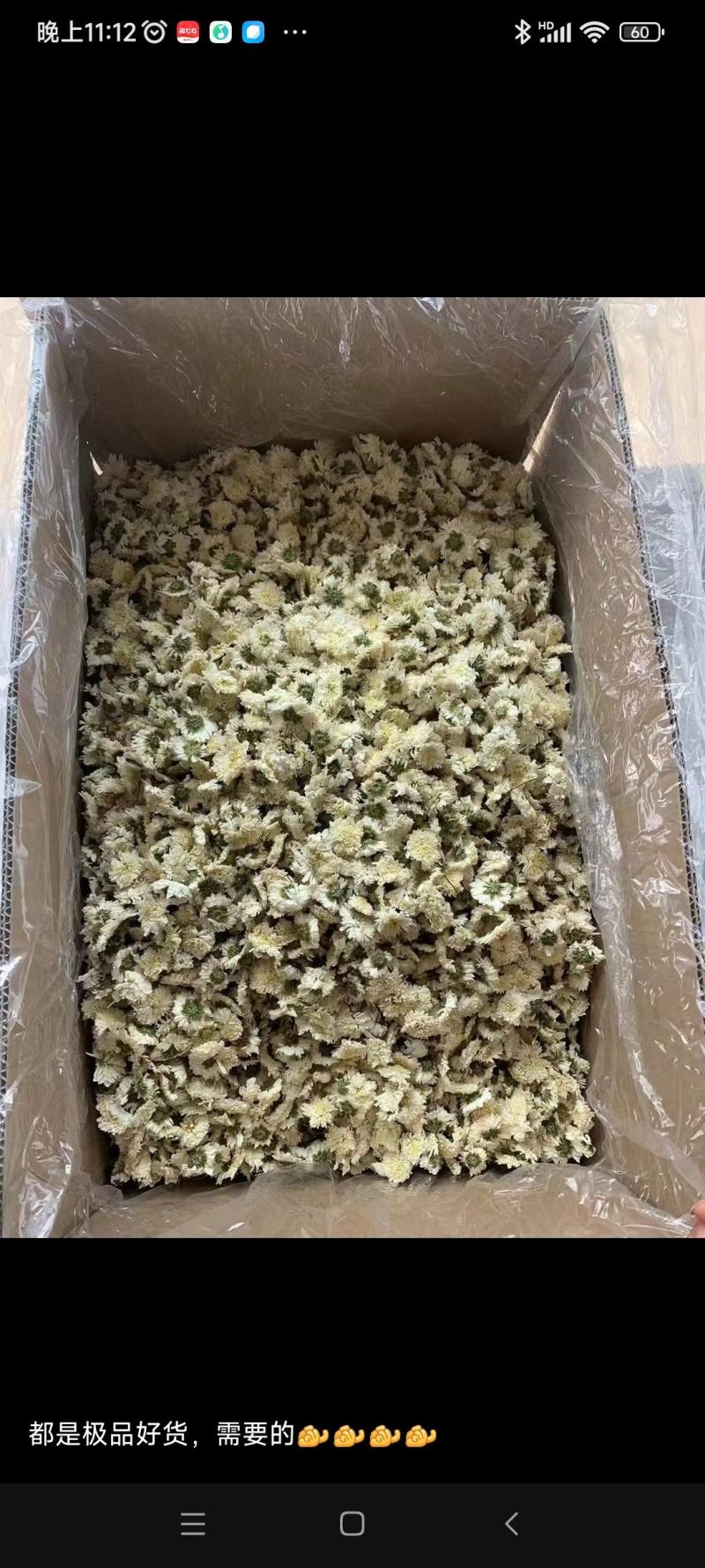 菊花，茶叶，批发