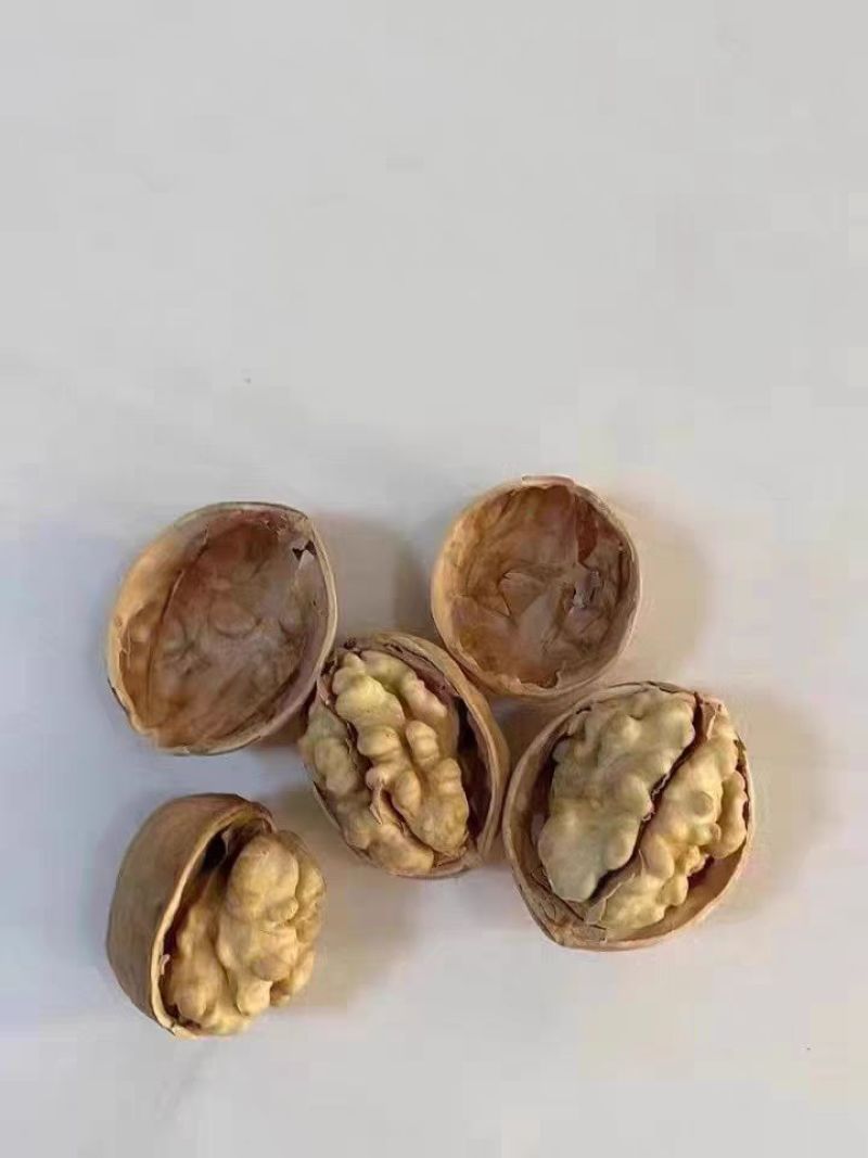 当季新货新疆正宗185纸皮核桃20斤一箱