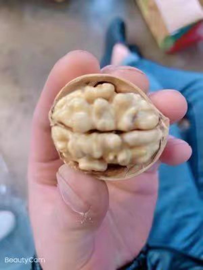 当季新货新疆正宗185纸皮核桃20斤一箱