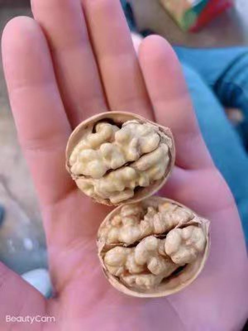 当季新货新疆正宗185纸皮核桃20斤一箱