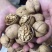 当季新货新疆正宗185纸皮核桃20斤一箱