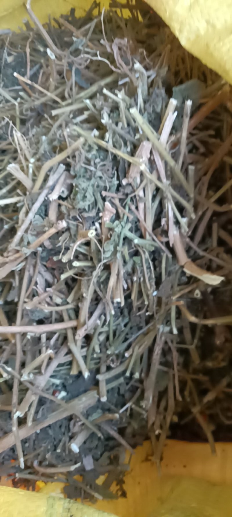 白英