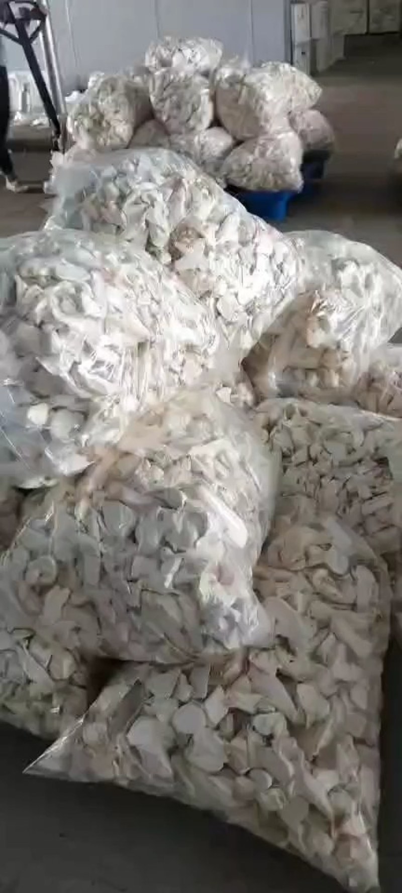 杏鲍菇菇片菇皮鲜品价格以当天价格为准