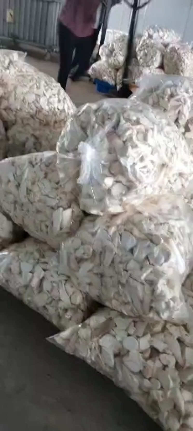 杏鲍菇菇片菇皮鲜品价格以当天价格为准