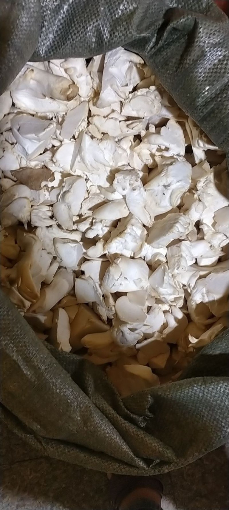 杏鲍菇菇片菇皮鲜品价格以当天价格为准