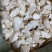 杏鲍菇菇片菇皮鲜品价格以当天价格为准