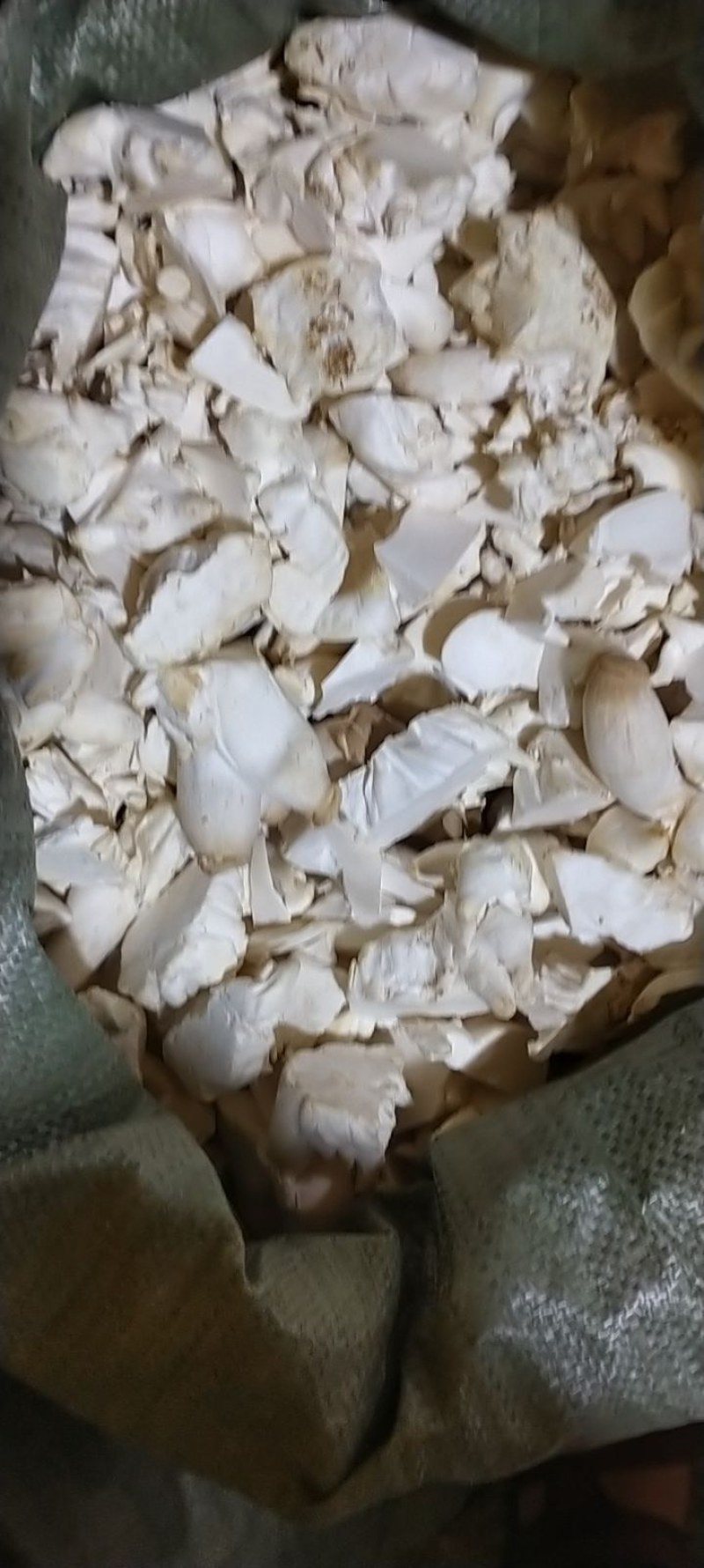 杏鲍菇菇片菇皮鲜品价格以当天价格为准