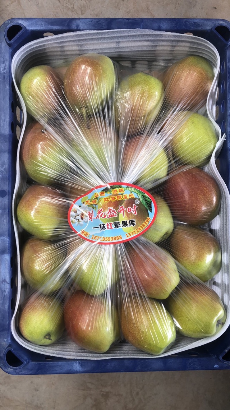 山西运城盐湖龙居一抹红晕果库红香酥现货