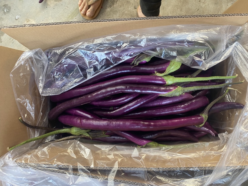 蒜蓉线茄食材展示图