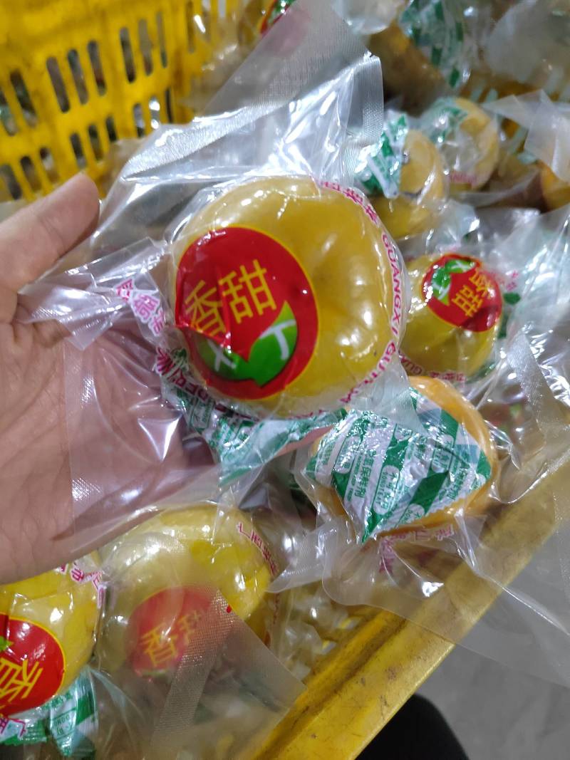 广西桂林恭城高山脆柿产地直发质量保证欢迎来咨询订购