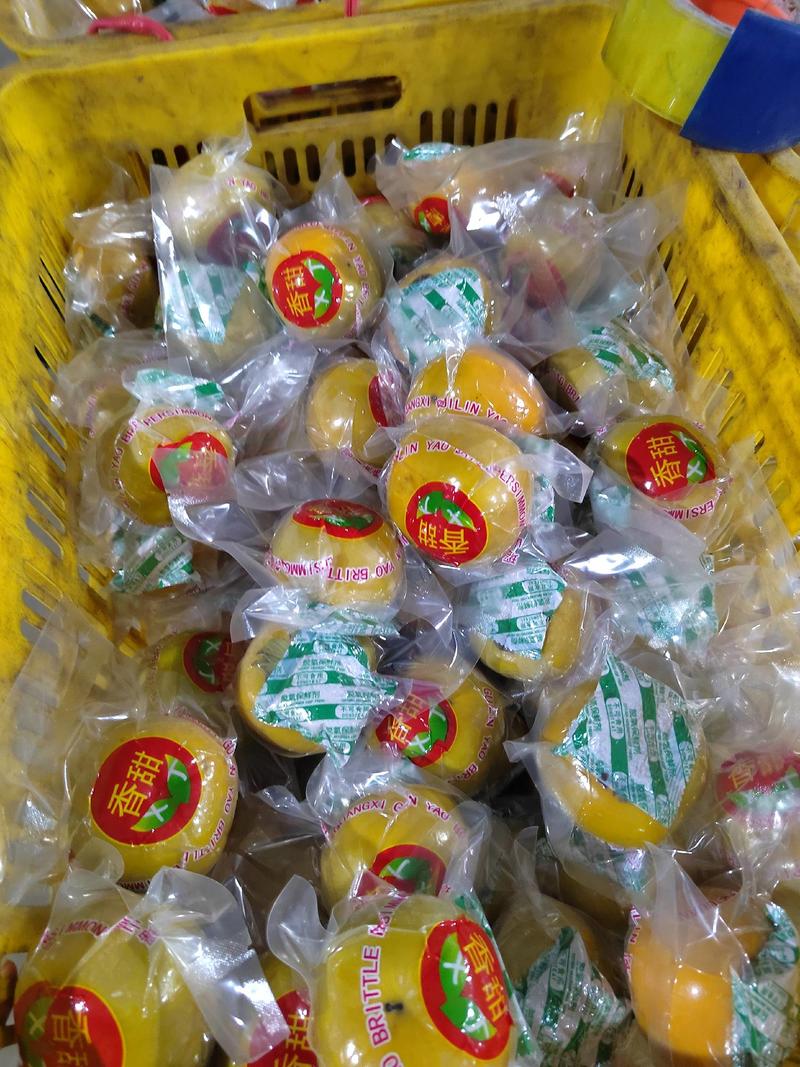 广西桂林恭城高山脆柿产地直发质量保证欢迎来咨询订购