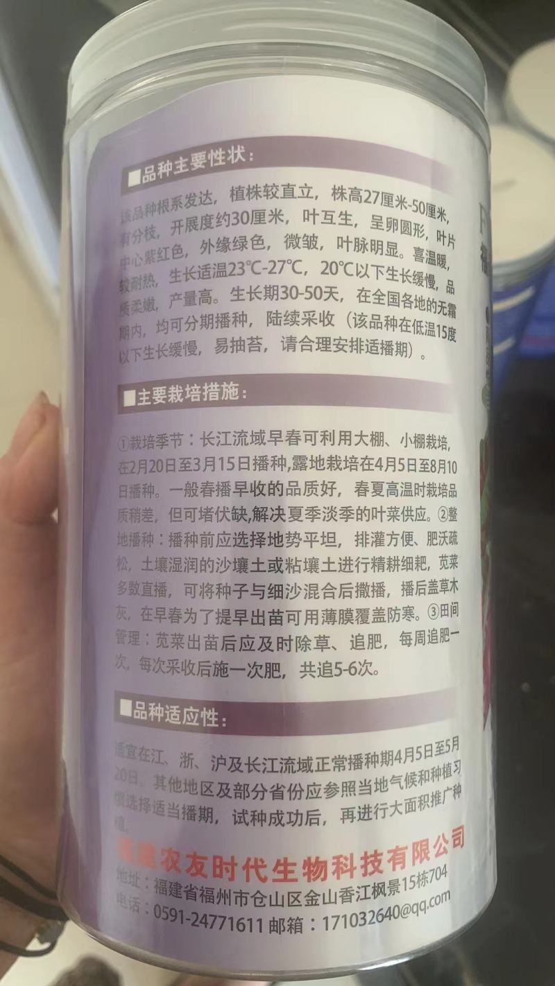 大叶红苋菜种子，耐抽苔，产量高，