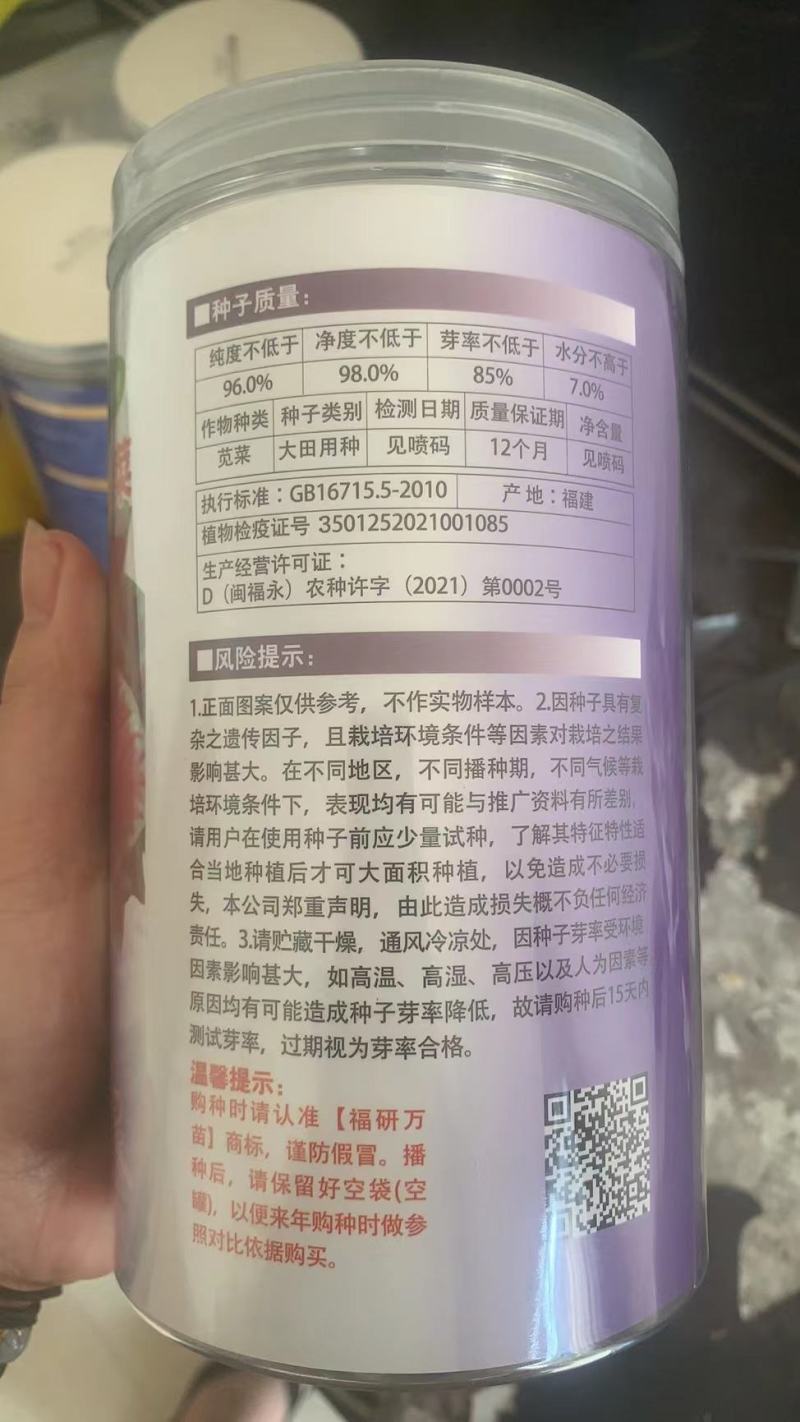 大叶红苋菜种子，耐抽苔，产量高，